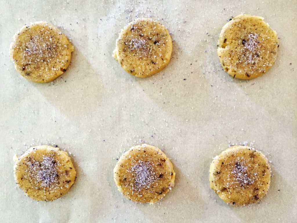 Honey Lavender Sugar Cookies - Unbaked