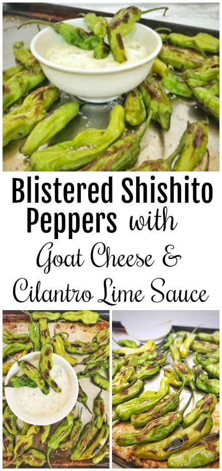 Blister Shishito Peppers