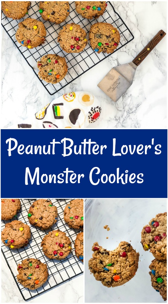 Peanut Butter Monster Cookie Pin